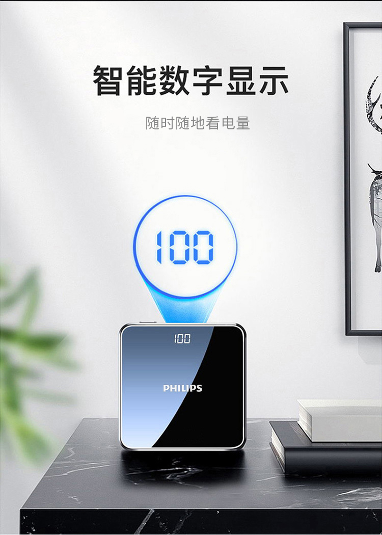 飞利浦DLP2116B移动电源10000mAh黑色（个）