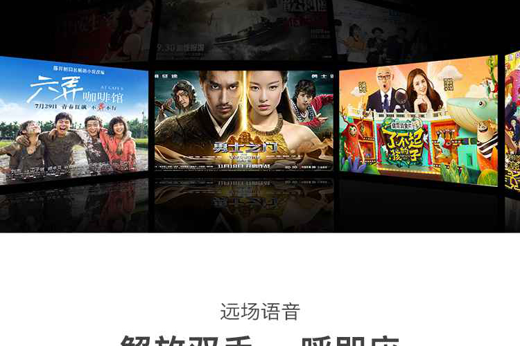 创维（Skyworth）65G22 65英寸4K超高清 2+16G平板电视（台）