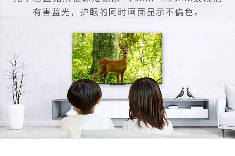 创维（Skyworth）65G22 65英寸4K超高清 2+16G平板电视（台）