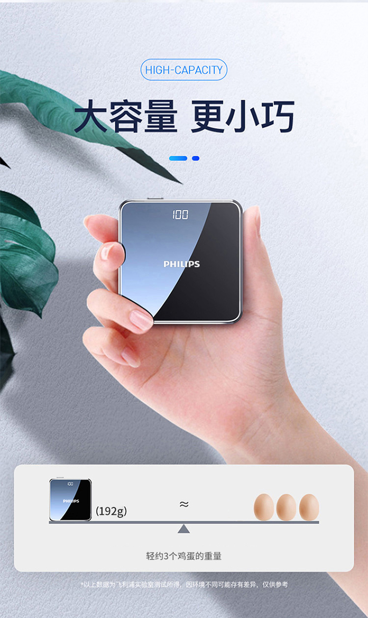 飞利浦DLP2116B移动电源10000mAh黑色（个）